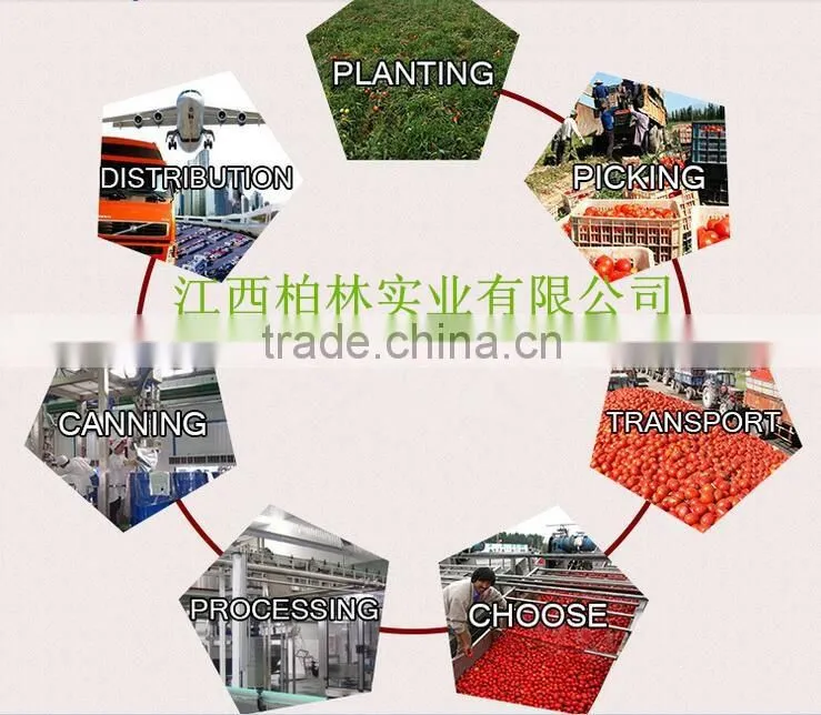 Canned tomato paste brix28-30% from Jiangxi China