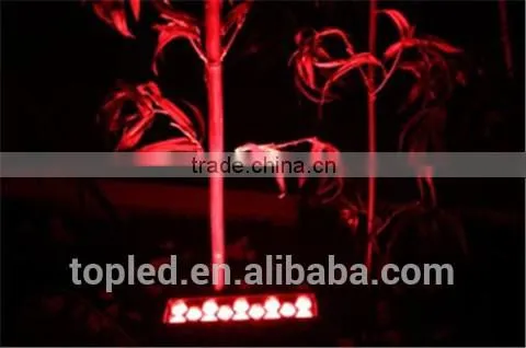 Waterprood led flood light 14*3W RGB LED Wash light IP66 outdoor flood light for sale
