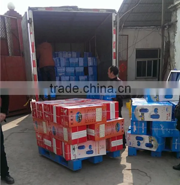fish pond aerator/ aerators for aquaculture/Aeration surge type aerator