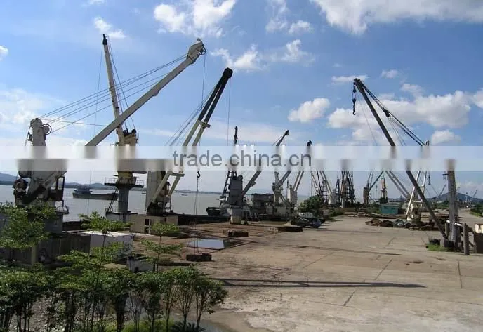 5ton barge crane