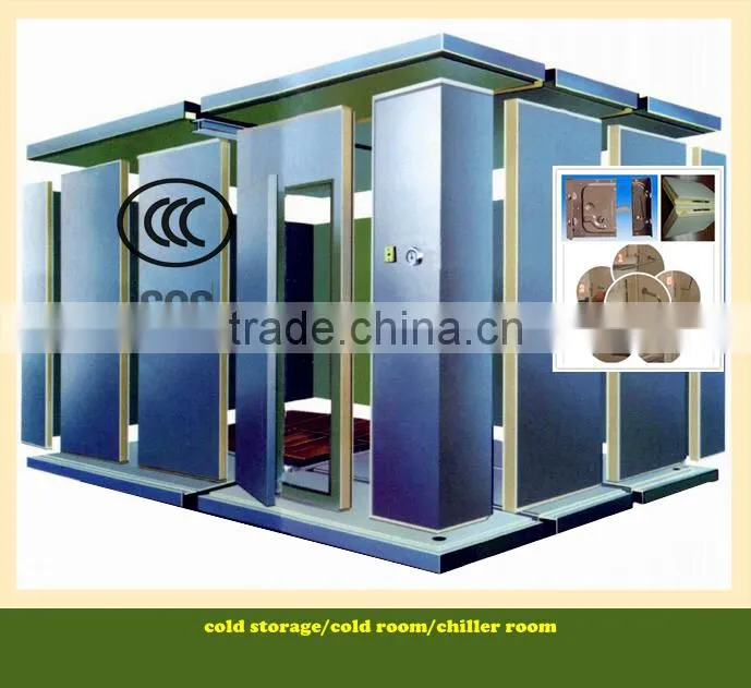 new technology walk in freezer with polyurethane panel