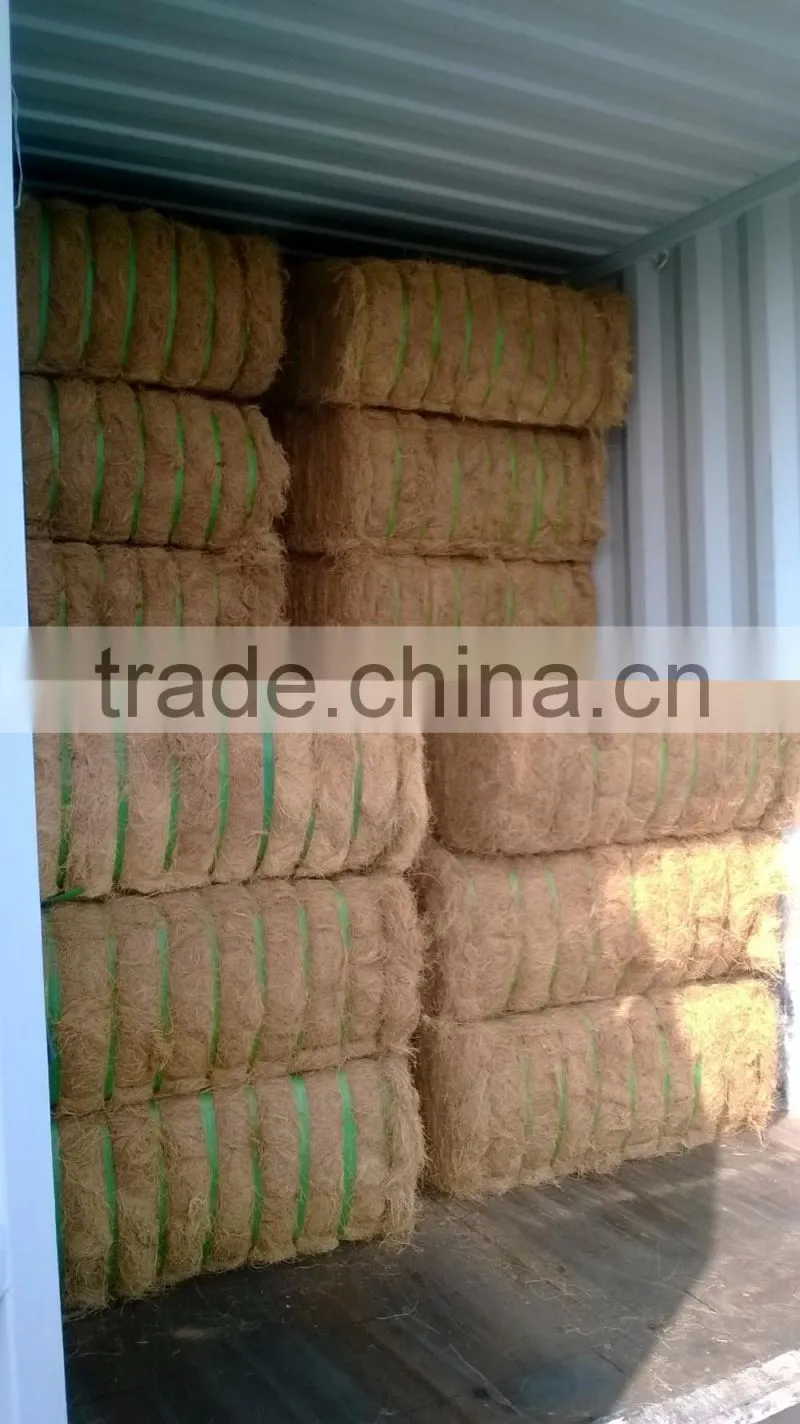 Coconut Fiber High quality (qq : 2598494113)