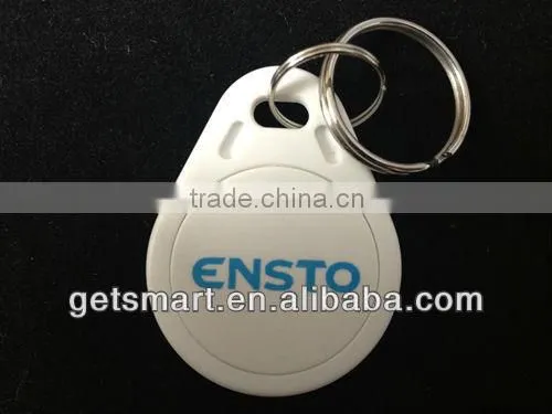 TOP1 Competitive Price 125khz RFID Key Tags