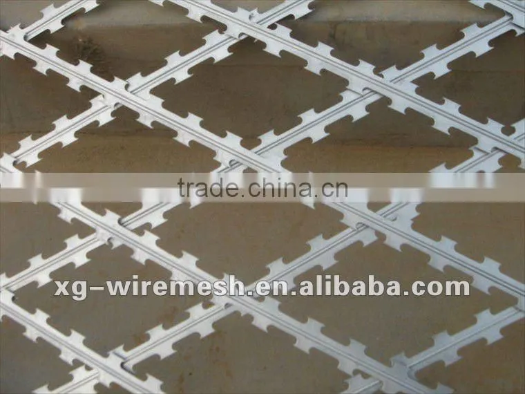 bared razor wire(high quality low price)