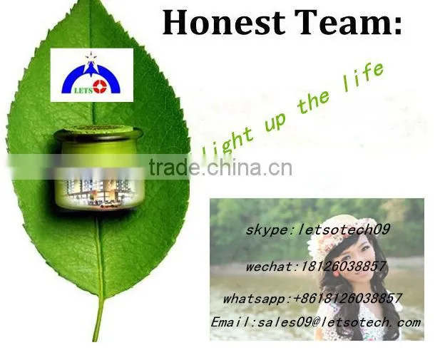 CE,RoHS Certification and Copper Lamp Body Material 5mm 3528 led rope 12V Flexible Led Strip light