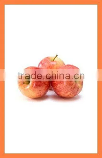 15-25 mm A13 High quality Fresh Strawberry
