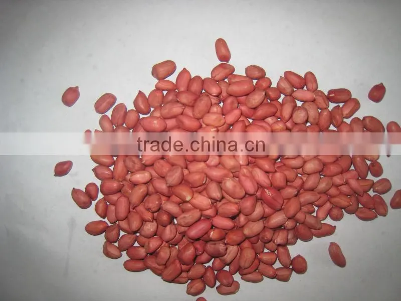 red skin peanut kernel