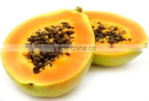 Papaya Extract Powder
