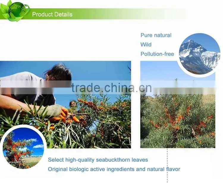 Effectively reduce the blood sugar of diabetes Sea-buckthorn Tea
