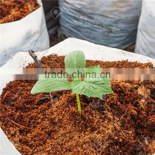 Best invest project coco peat drying line with dryer and baler machine