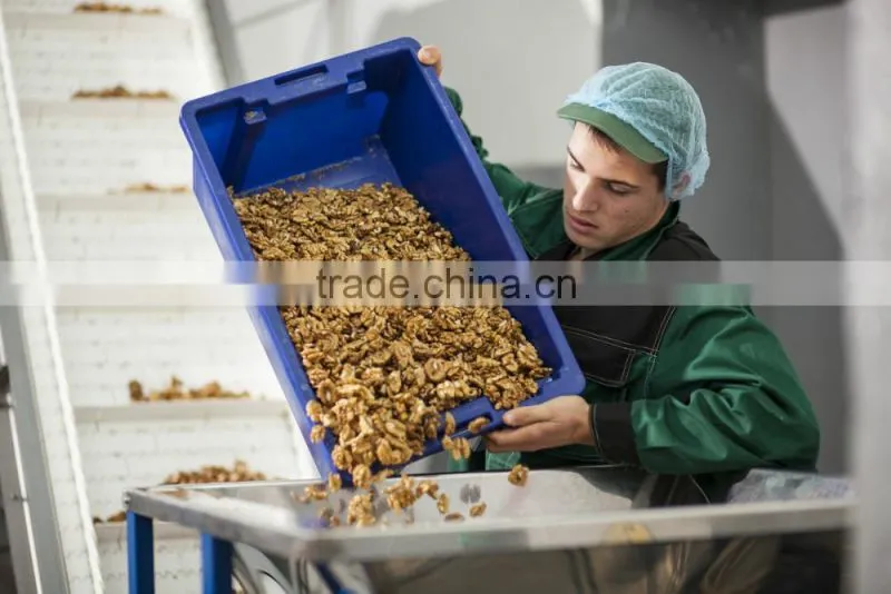 nut dehydrator