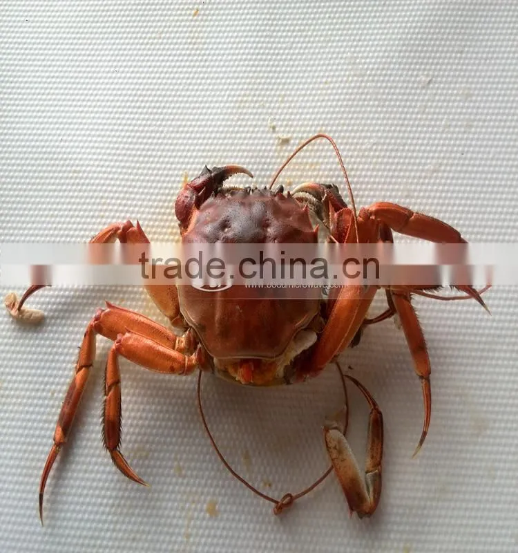 fish drying machine