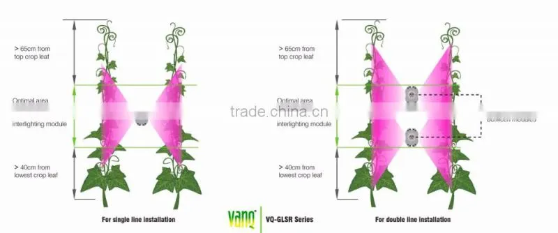 Modern agricultural equipments interlight grow light bar for cucumber greenhouse grow waterproof