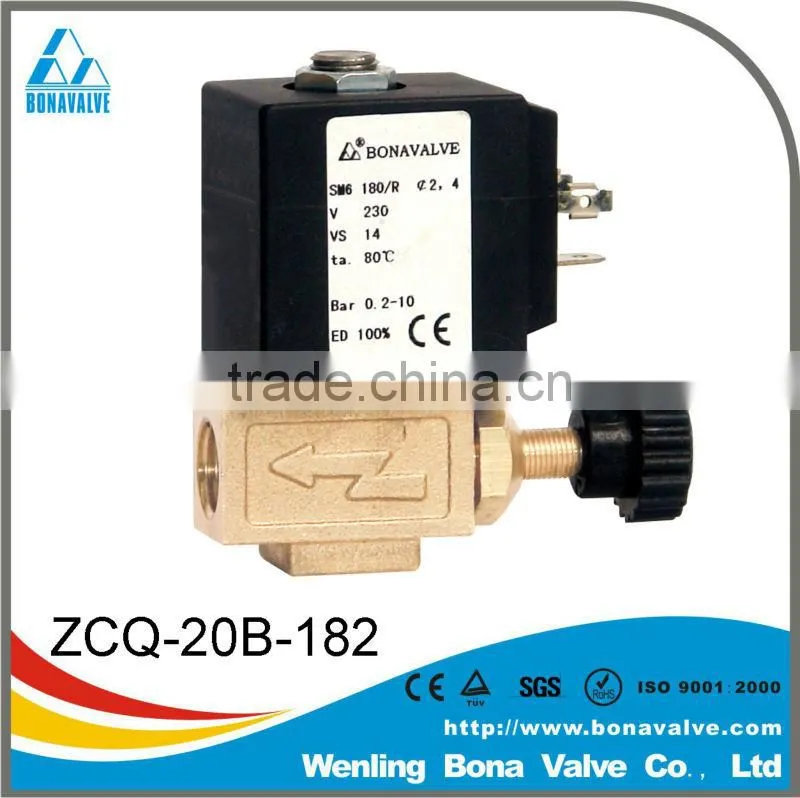 Steam Iron Solenoid Valve ZCQ-20B-182