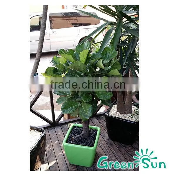 wholesale plastic garden flower pot,self-watering planter,hydroponic systems planter pots