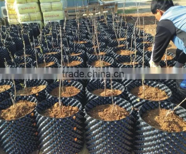 plastic root control container/pot for garden tools