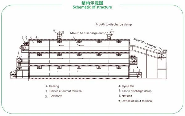 Fruit and Food Microwave Tunnel Dryer/Dehydrator and Sterilizer Machine