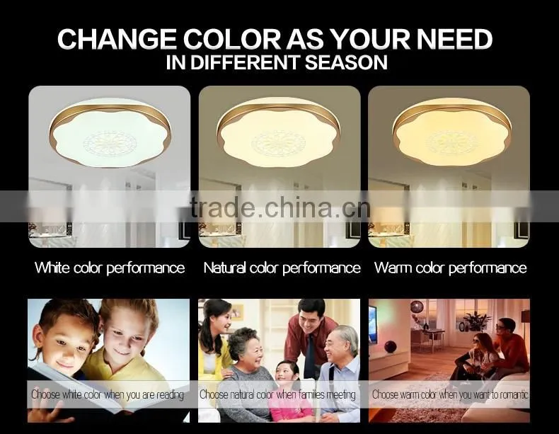 2016 New design modern ceiling light led ceiling light round with art design