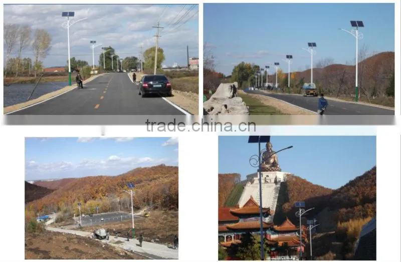 2014 year -price of 6M Competitive Price Low Moq Intelligent Controlled Cheap Solar Street Lights