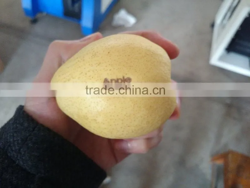 HG-10W Co2 Flying Laser Marking/Engraving Machine