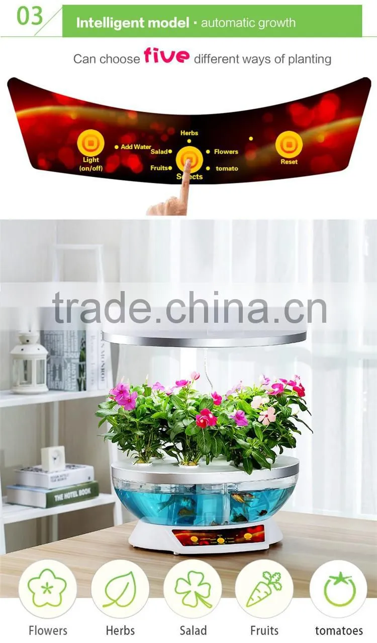 grow expand water toys