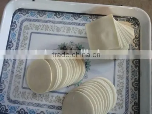 dumpling wonton ravioli skin forming machine/ravioli skin machine with low price