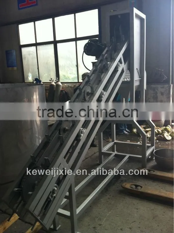 coconut milk processing line