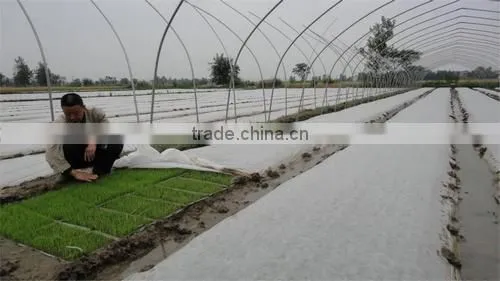 Weed Control Fabric, Ground Cover, PP Spunbond Non woven Landscape Fabric