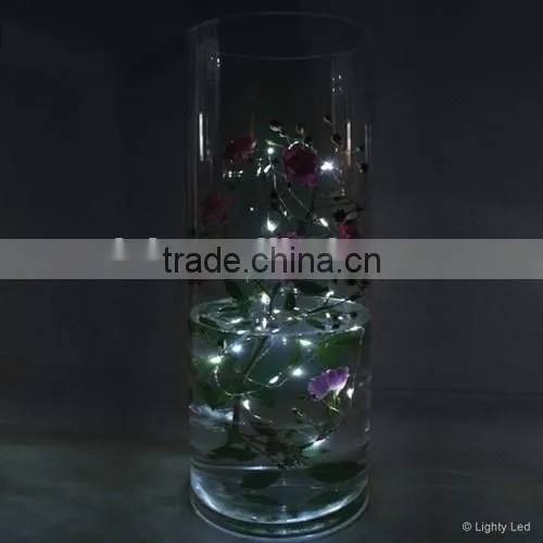 Blue color LED Submersible copper wire Micro Vine light / Battery Operated LED String Light