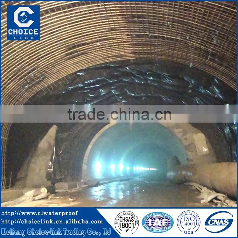 EVA Waterproofing Membrane