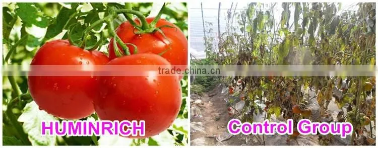 FAQ 13--SH9071 Huminrich Humate Soil Conditioner