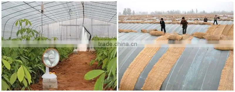 FAQ 3--How To Use Potassium Humate Fulvic Fertilizer To Solve The Problem Of Cucumber Wilt ?