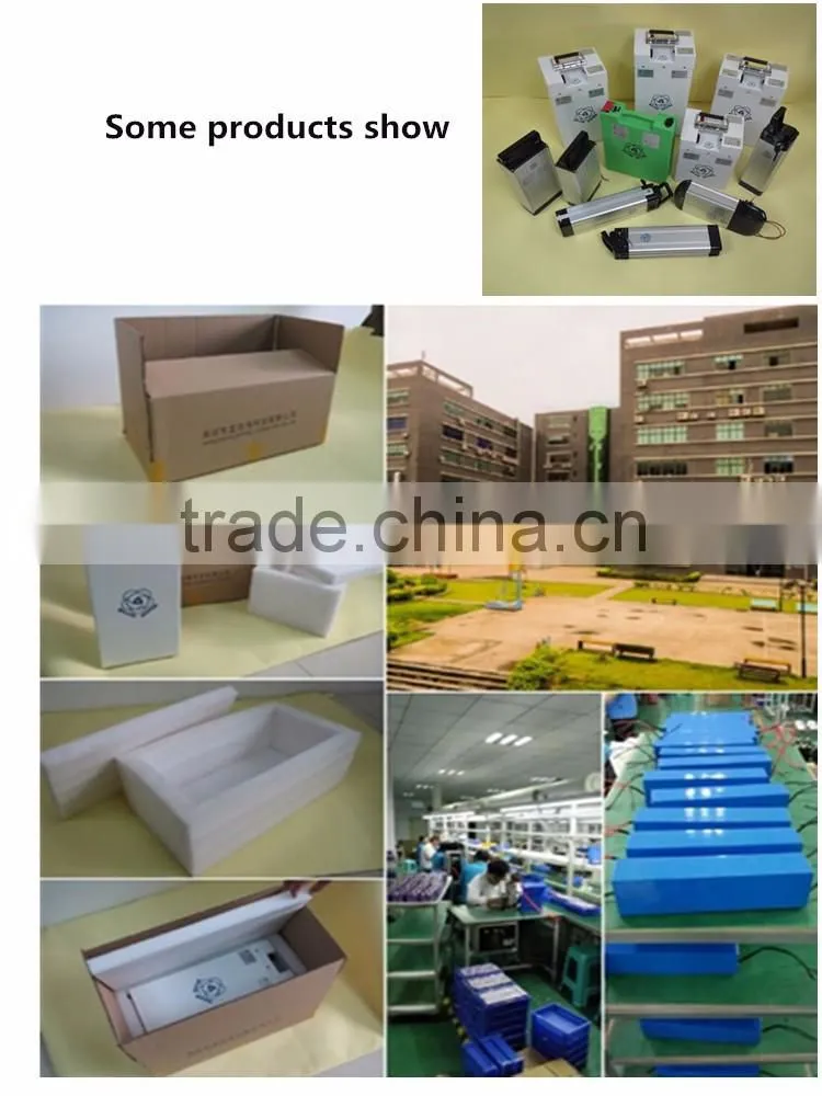 E-bike lithium battery pack 48V 10Ah Bicycle Carrier type battery