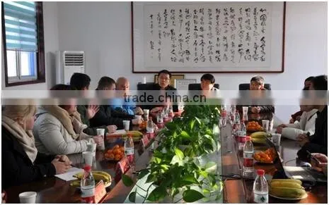 SBR 1502 rubber powder for self-adhesive waterproof membrane