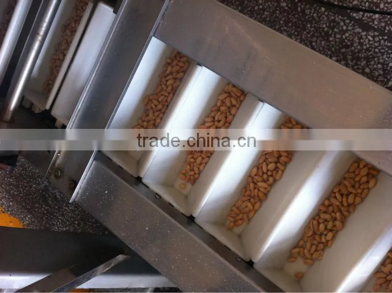 roasted peanuts