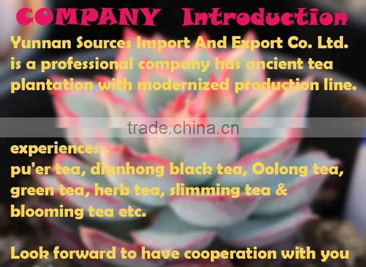 Yunnan Famous Dropship Pu'er Tea Raw Tea For Sale