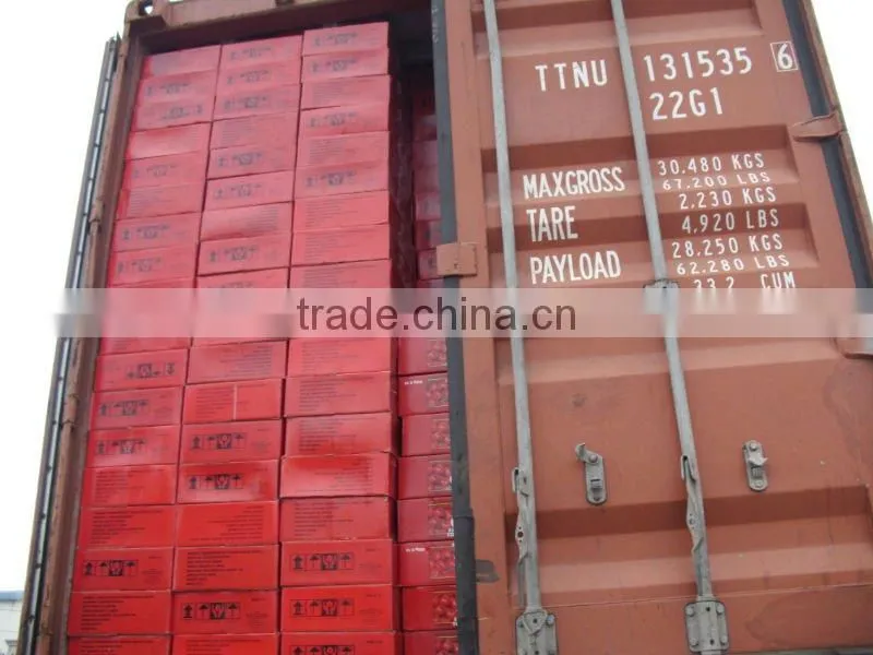 70g-4500g bulk tomato sauce with 18-20%,22-24%,28-30% brix