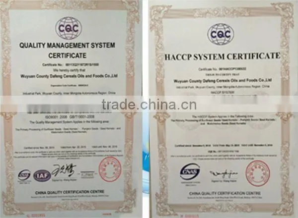 export big size chinese sunflower seeds