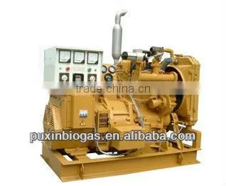 Professional and excellent 4000kw biogas electric generator