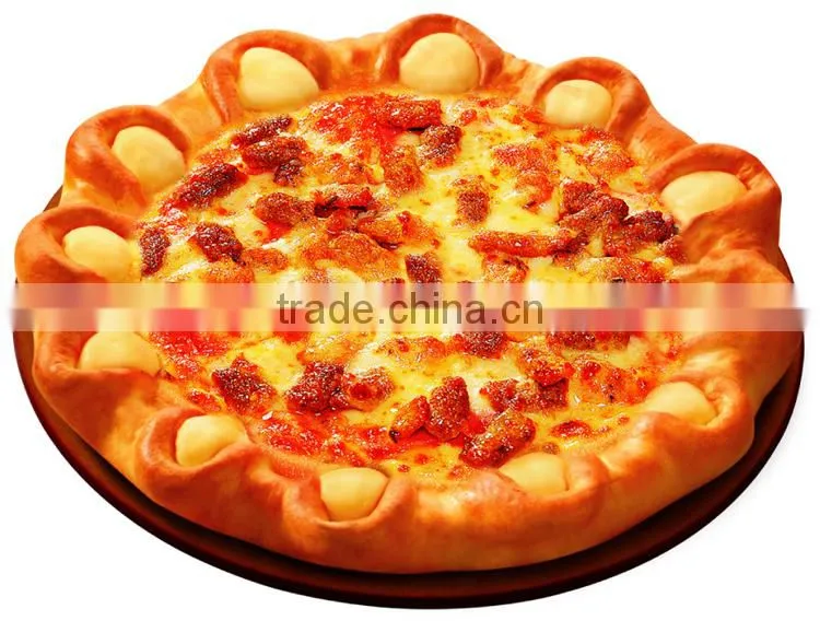CT-PZ24 Indoor Pizza Oven