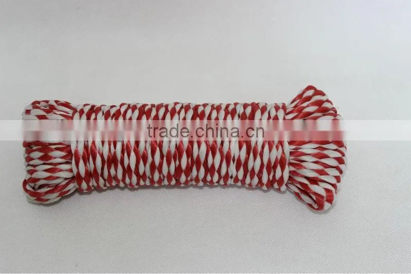 hollow braid PP ski rope