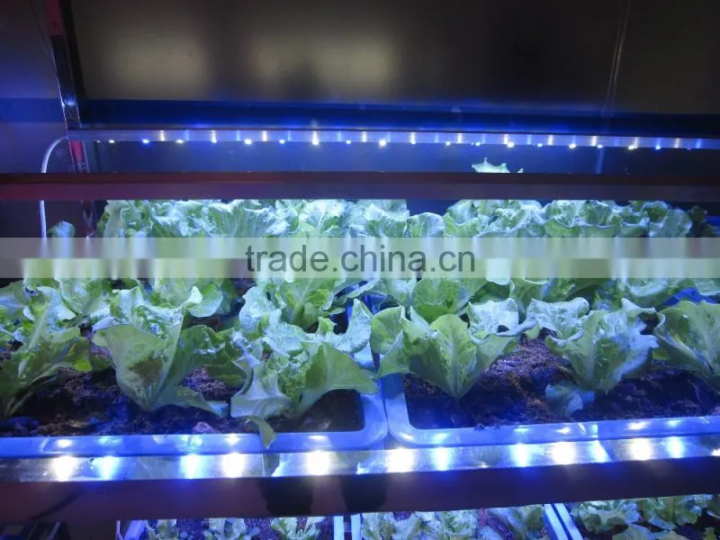 marshydro hydroponics grow light system LED grow light full spectrum 256*5W led the lamp