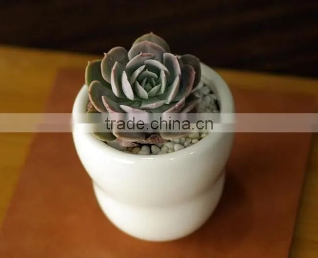 Indoor decorative white glazed small ceramic planter