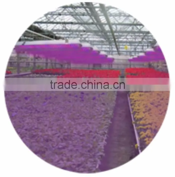 20W Waterproof LED Grow Light