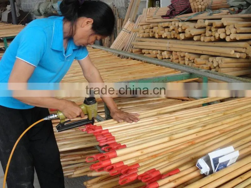 Home Usage and PET Broom Head Material broom handle