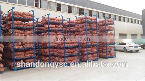 wholesale fresh garlic China garlic price