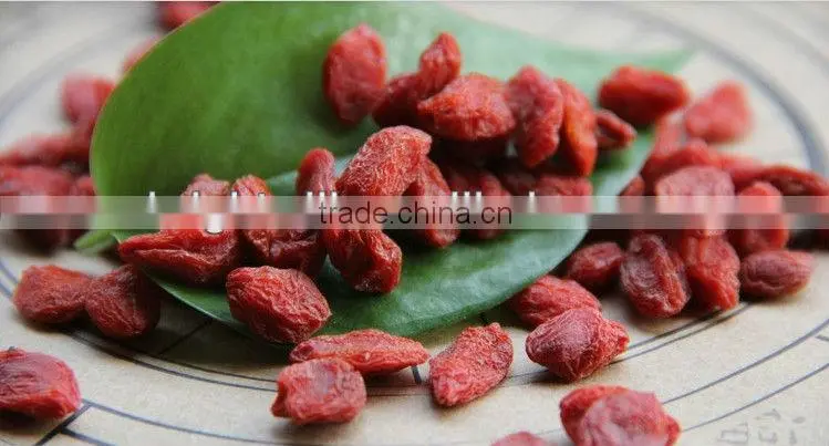 Chinese wolfberry, Medlar,Goji, Food seasoning