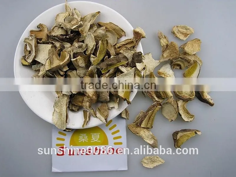 Wild dried white porcini mushroom
