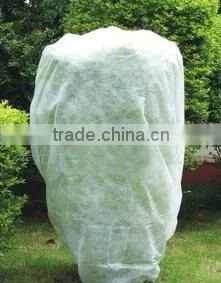 Green Environmental Friendly pp spunbond nonwoven fabric