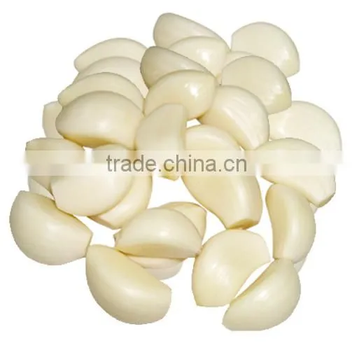 automatic garlic peeler machine/garlic stripper machine